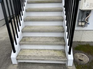 静岡市のアパート共用階段に見られた汚れと苔状の付着
