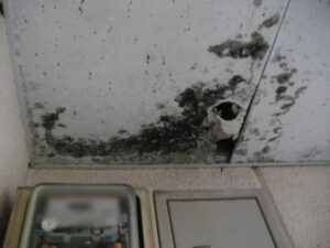 雨漏りが原因で天井に発生した黒カビの様子